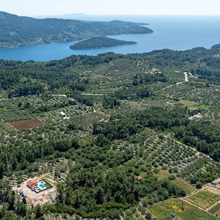 Antea By Guide Vila *